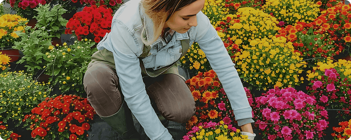 A&M Floral Place's Success with 115% Higher AOV Using Stellar Delivery Date & Pickup